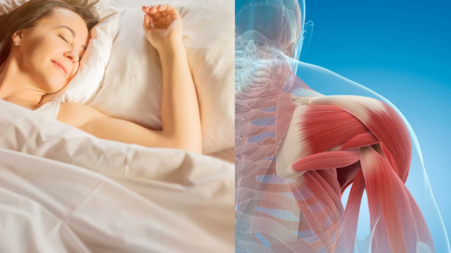 How Better Rest Fuels Muscle Growth and Recovery