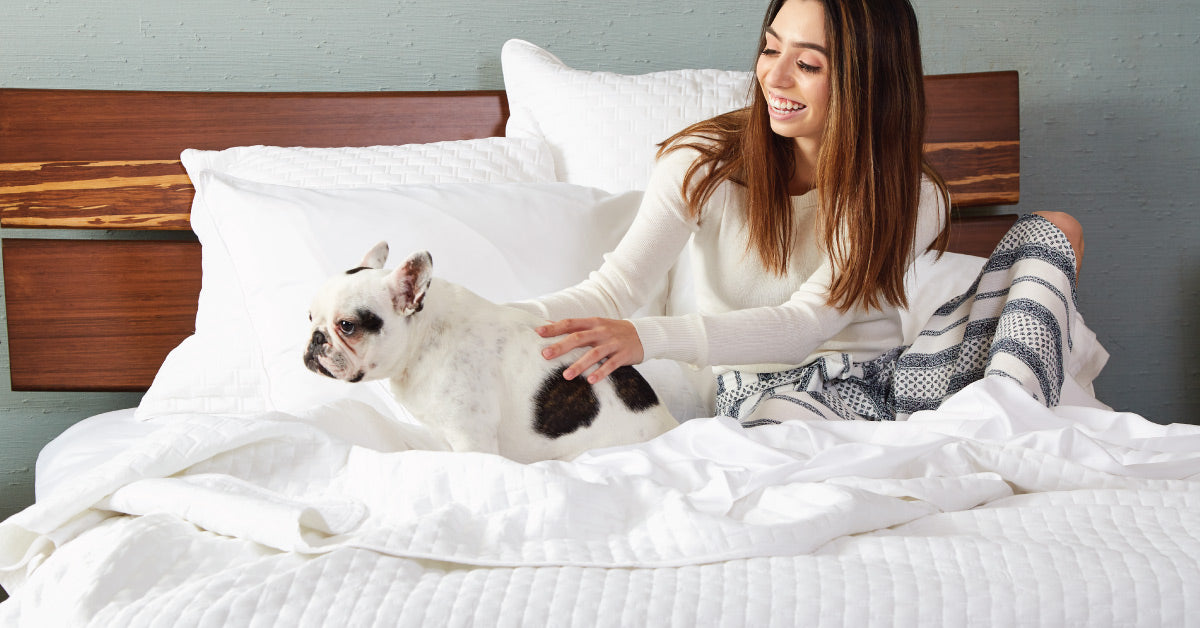 When Dogs Sleep in Your Bed – Bamboo Sheets are the Answer